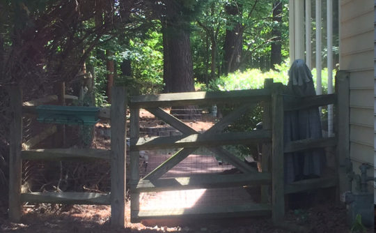 VartanianConstruction_treehouse_before