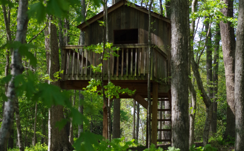 VartanianConstruction_treehouse_front