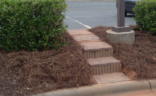 Vartanian Construction Matthews Dental steps2