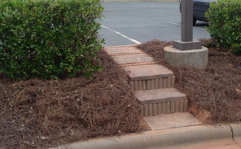 Vartanian Construction Matthews Dental steps2