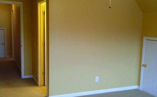 Vartanian Construction added closet 3