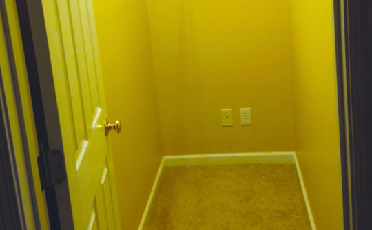 Vartanian Construction added closet 43