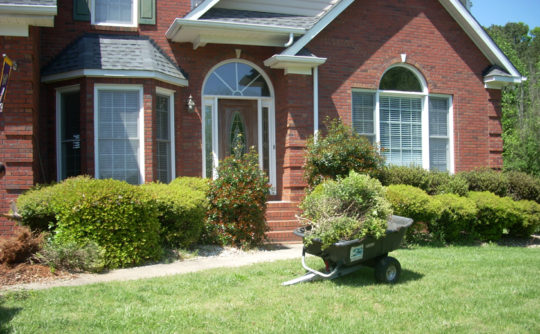 Vartanian Construction landscape removal