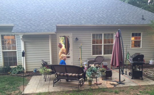 Vartanian Construction parrot room before