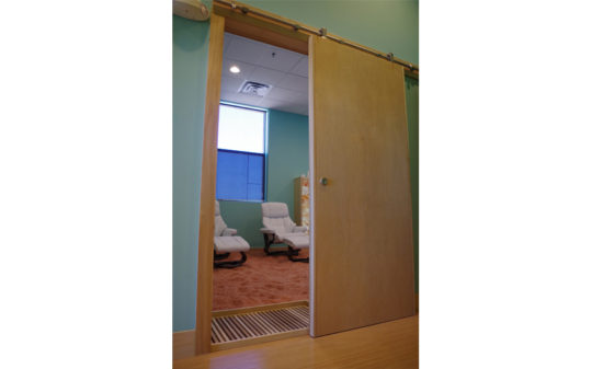 Vartainian Construction SaltPad barn door